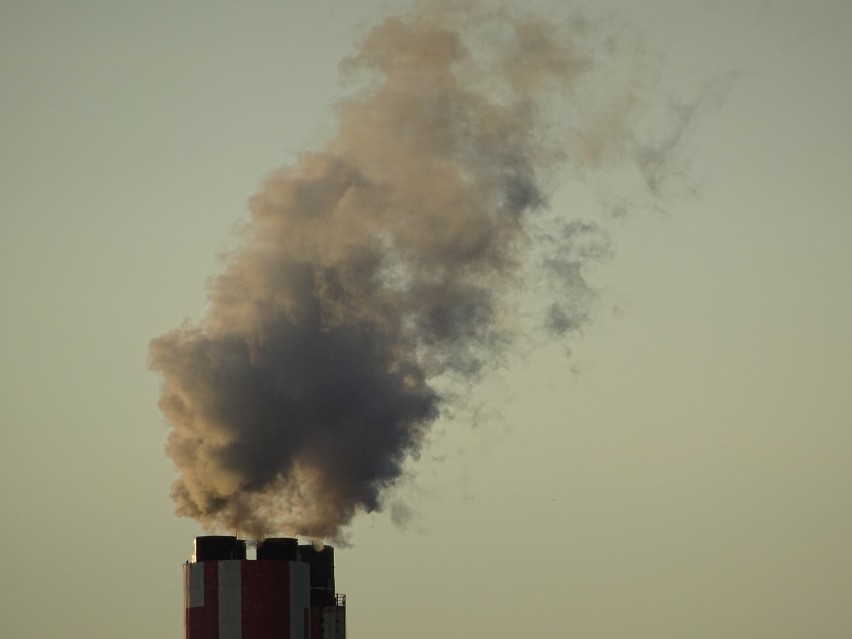Zanieczyszczone powietrze skraca nam życie o 29 miesięcy. To...