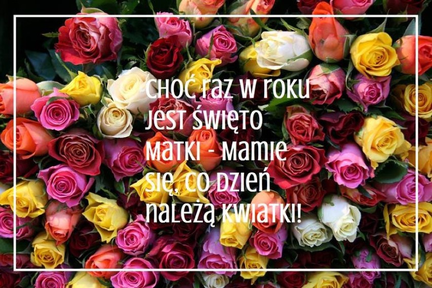 Życzenia na Dzień Matki 2019 do wysłania SMS: wierszyki śmieszne i wzruszające. Złóż piękne życzenia swojej matce [MEMY]