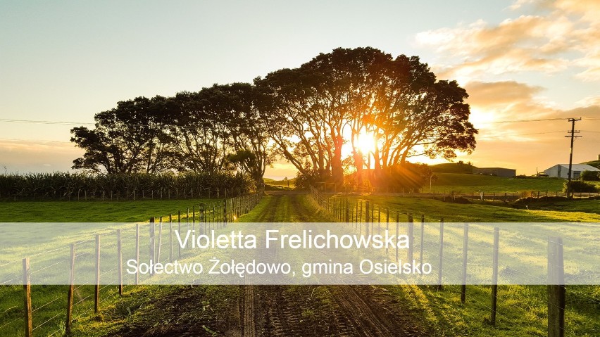Violetta Frelichowska
Sołectwo Żołędowo, gmina Osielsko