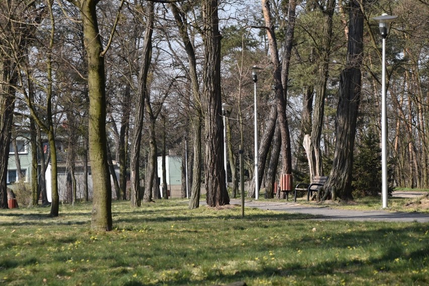 Książ Wielkopolski: park miejski z nową nazwą na 610-lecie lokacji miasta