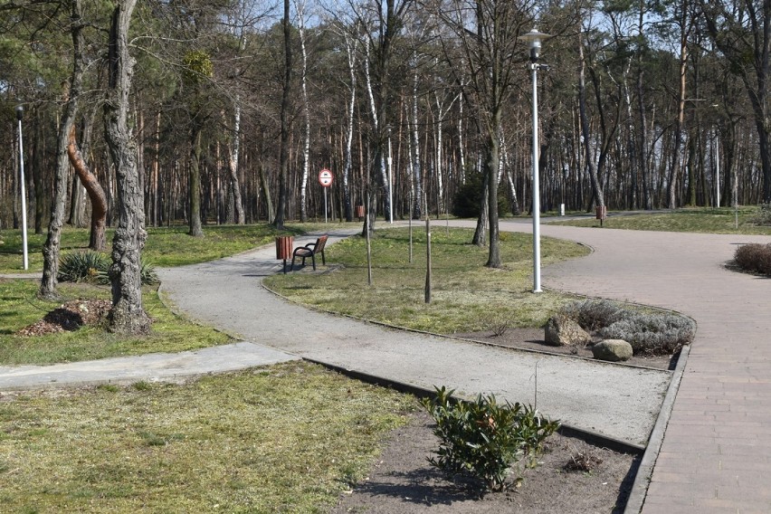 Książ Wielkopolski: park miejski z nową nazwą na 610-lecie lokacji miasta