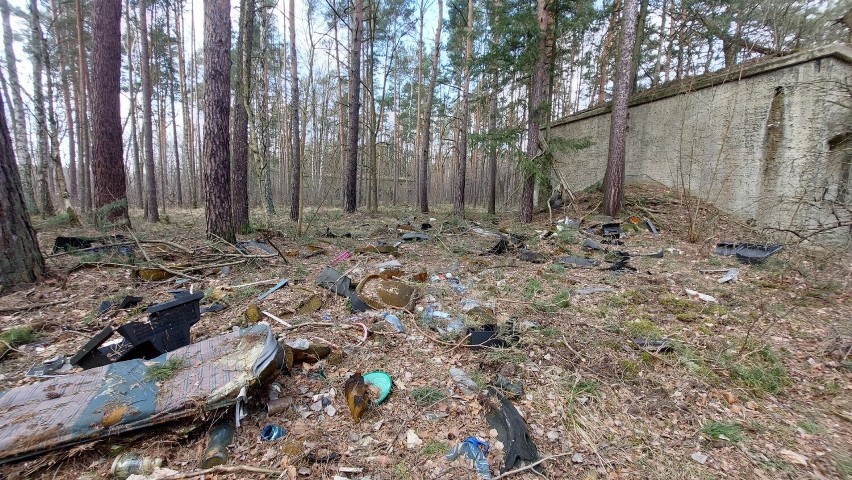 Wzdłuż Nysy Łużyckiej, na obszarze blisko 700 hektarów...