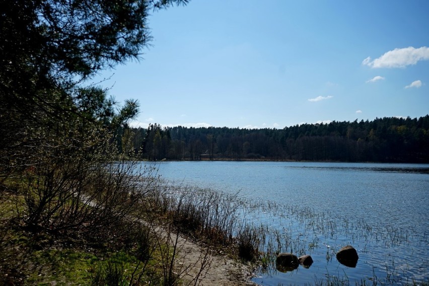 Jezioro Wyspowo w gminie Wejherowo