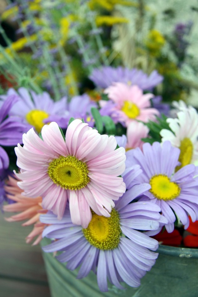 Jednym z najpopularniejszych prezentów na Dzień Nauczyciela są kwiaty