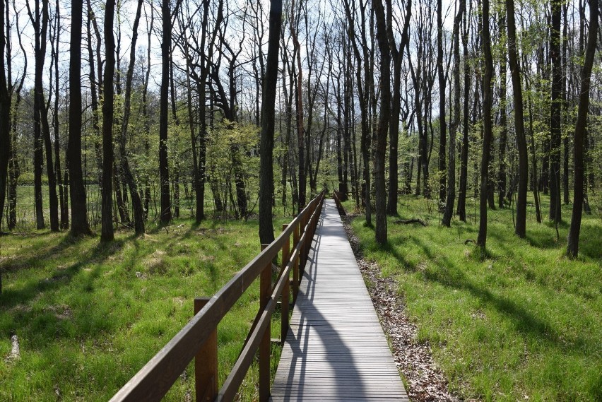 Dolina Trzech Stawów 
Dolina Trzech Stawów słynie z...