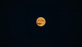 W Nowej Soli czeka nas Pełnia Koźlego Księżyca. Czy pełnia księżyca wpływa na człowieka?