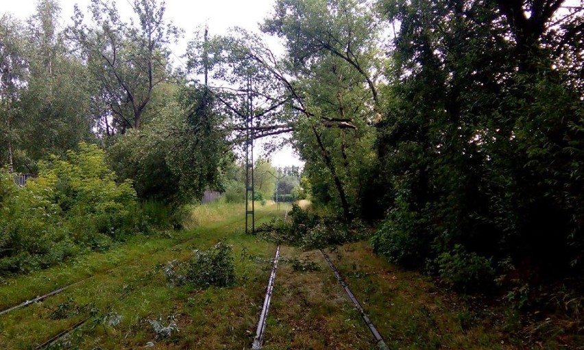 Nawałnica w Krakowie. Wznowiono ruch tramwajów. Basztowa stoi 