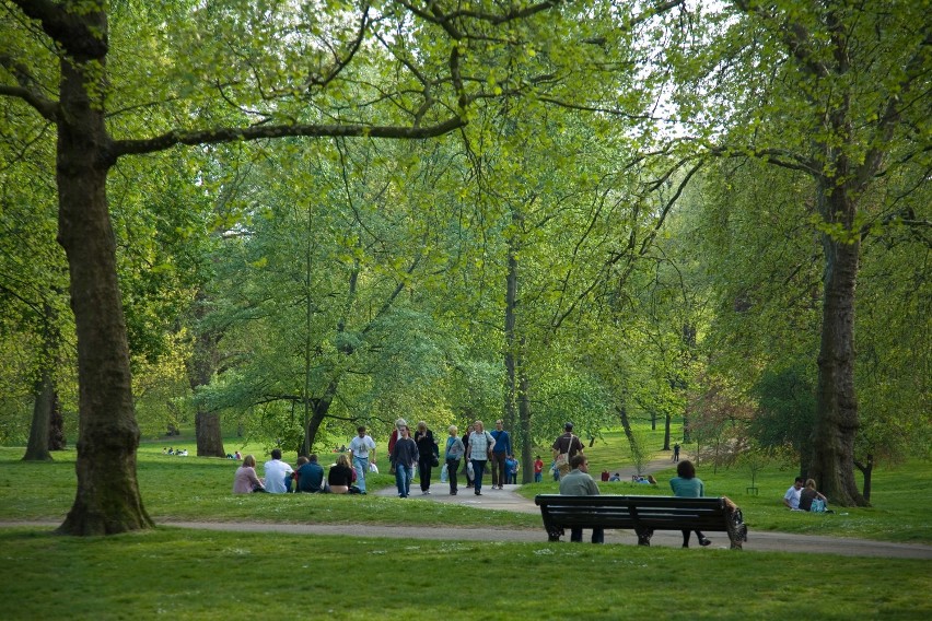 Na terenie parku znajduje się również plac zabaw, boiska...