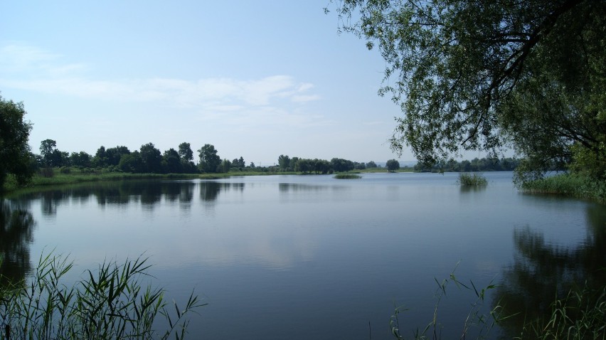 Dobra opcja dla mieszkańców Nowej Huty.