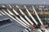 Wrocław. Tak budowano stadion na Pilczycach. Zobaczcie wyjątkowe zdjęcia