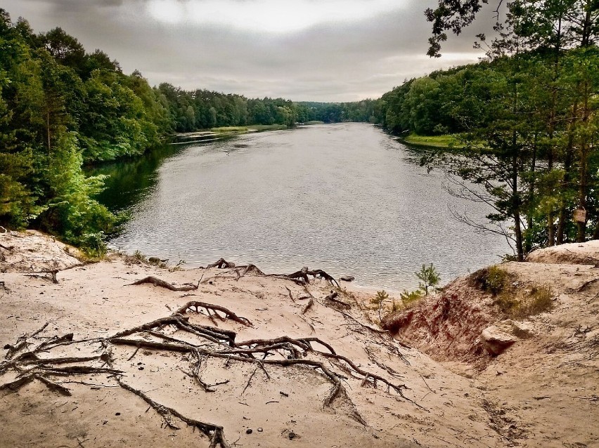 Piękna dzika plaża w Janowie. Wygląda uroczo latem, wiosną,...