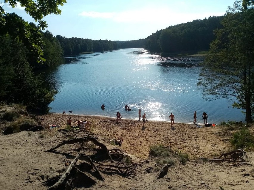 Piękna dzika plaża w Janowie. Wygląda uroczo latem, wiosną,...