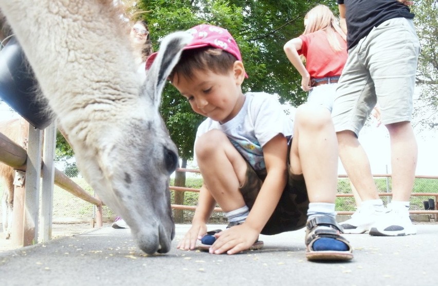 Park Krasnala w Nowej Soli