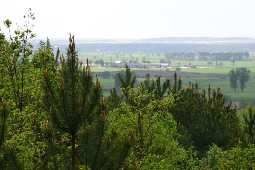 Tym, którzy lubią górskie klimaty, proponujemy Góry...