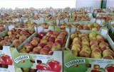 Akcja „Jabłka Tymbark z polskich sadów” już niedługo w Zakopanem