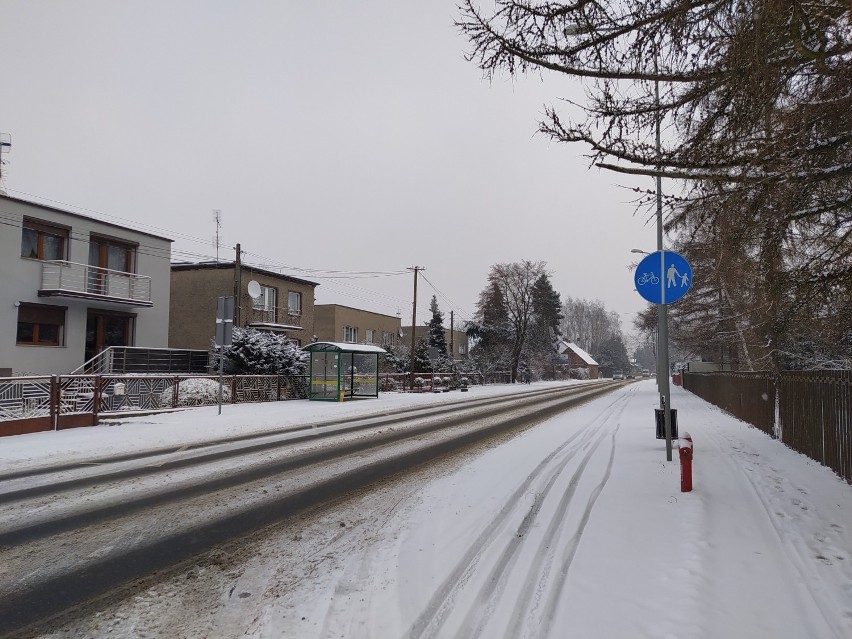 Syców: Zima nie odpuszcza. Mróz i opady śniegu w Sycowie obfite będą także w poniedziałek 