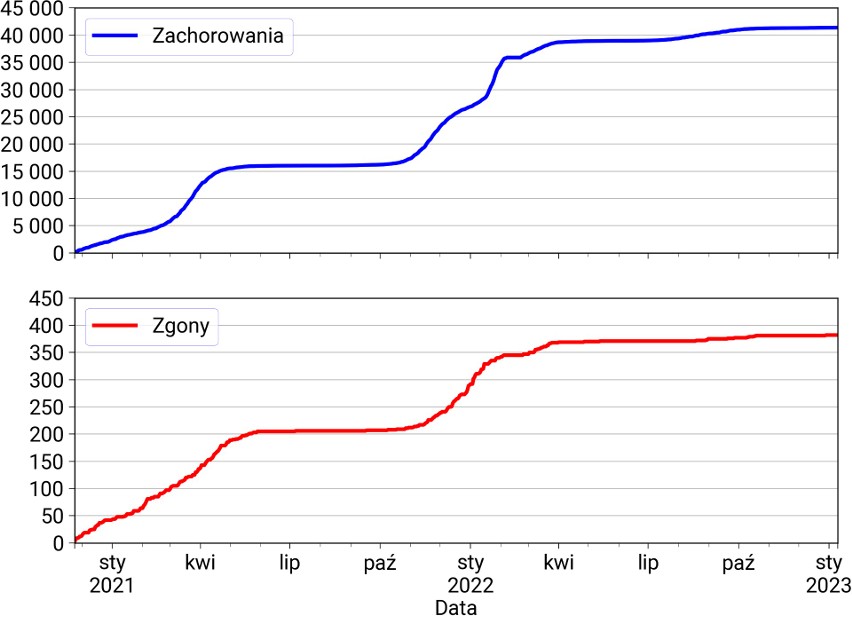 41 387 zakażonych, 382 zgony.