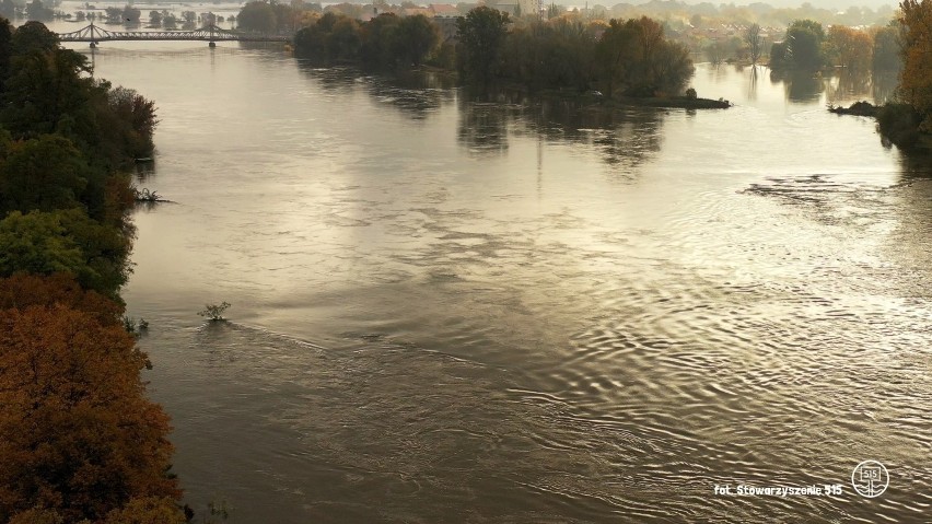 Dwa lata temu w Odrze był na tyle wysoki poziom, że rzeka...