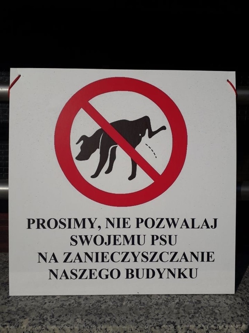 Na dziwne ogłoszenia można trafić na każdym kroku. W...