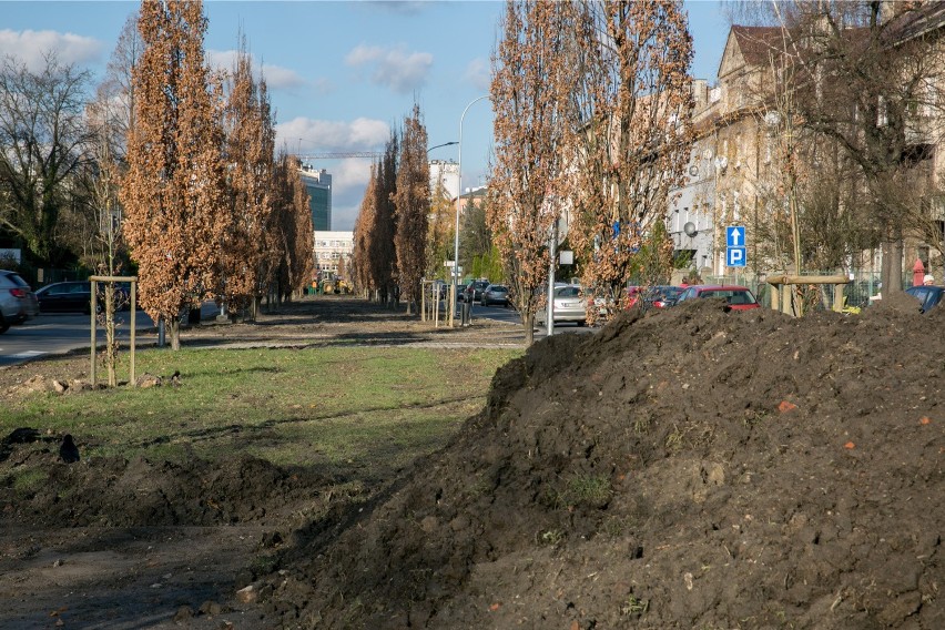 Kraków. Aleja  Beliny-Prażmowskiego będzie miała nowe drzewa i krzewy [ZDJĘCIA]