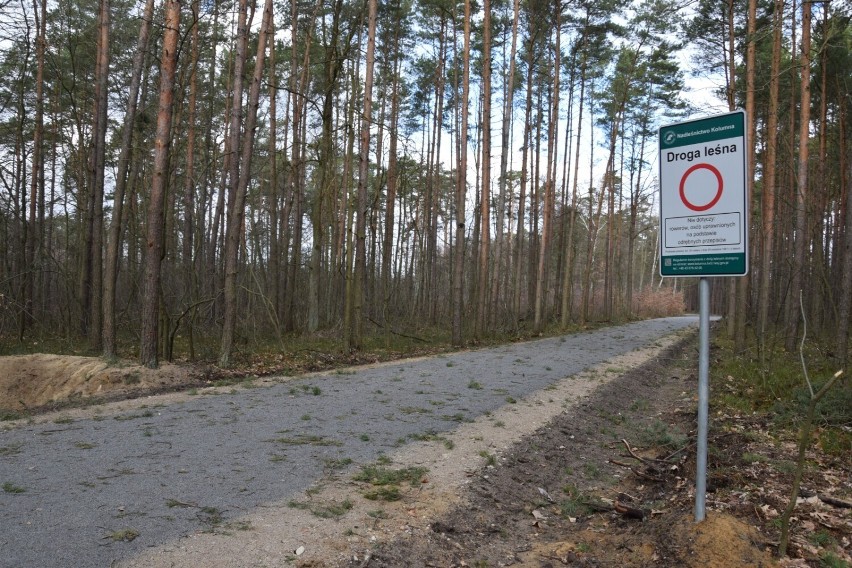 Nowa droga w Lesie Paprockim w Zduńskiej Woli. Dlaczego zakaz ruchu? ZDJĘCIA