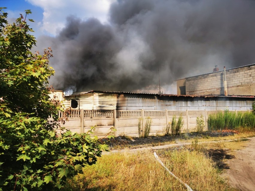 Pożar w stolarni w Zduńskiej Woli. Straż podaje wstępną przyczynę                    