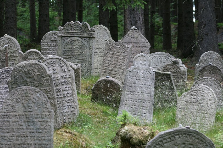 Warszawska mapa cmentarzy - znajdź swój grób razem z Urzędem...