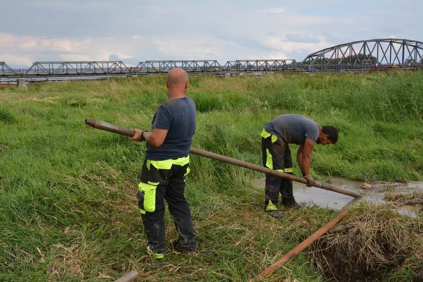 Po raz pierwszy w historii nad Odrą prowadzone są prace...