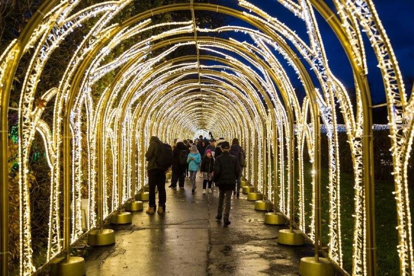 Królewski Ogród Światła jest plenerową instalacją, w ramach...