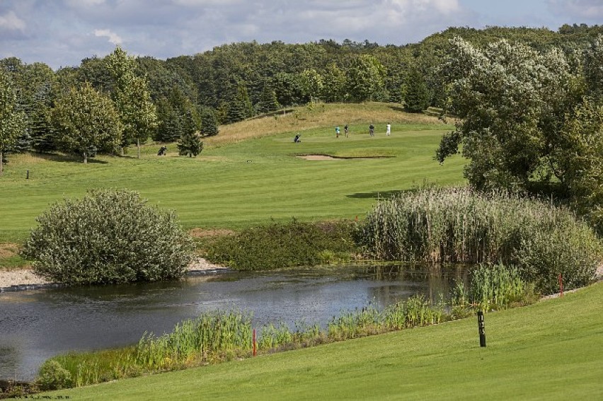 W niedzielę Ogólnopolski Dzień Golfa - w całym kraju bezpłatne lekcje gry