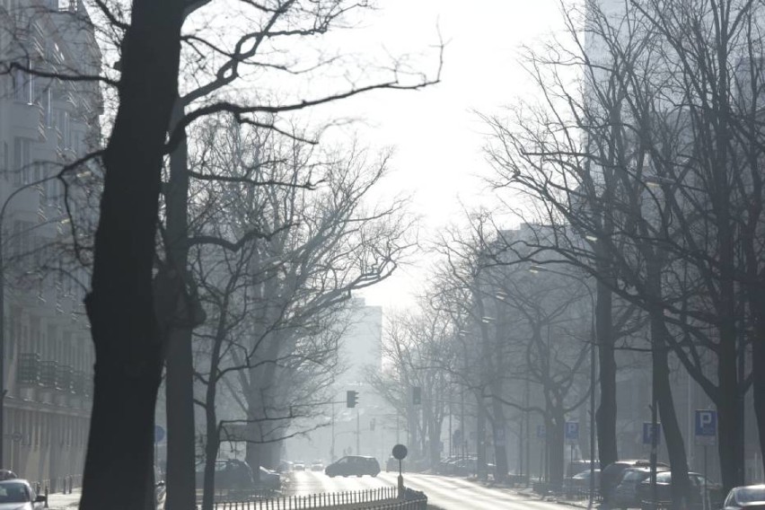 Smog w Warszawie, 22 grudnia. Jakość powietrza: średnia