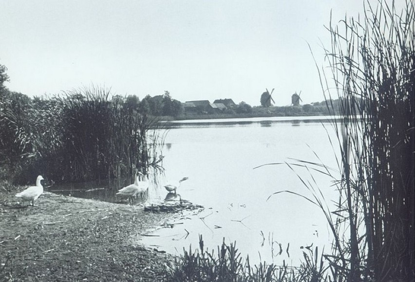 Widok na jezioro z wiatrakami w tle - 1930 -40