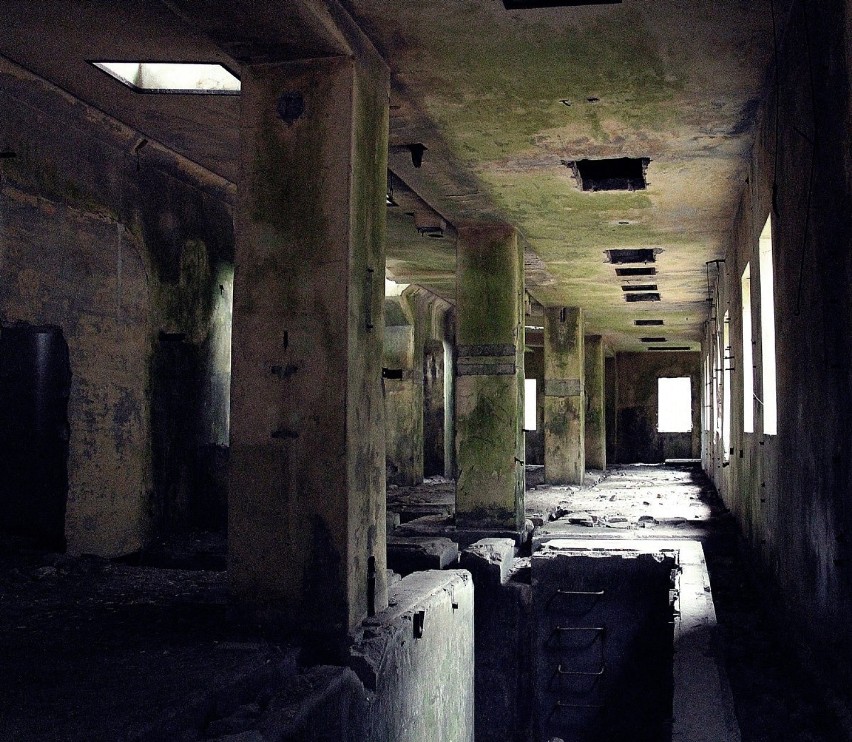 Ruiny niemieckiej fabryki amunicji w Krzystkowicach pod...