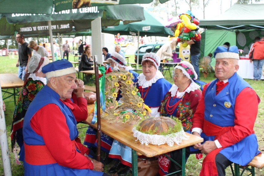 Dożynki 2017 w Płowcach. Na scenie zagrał zespół MIG [zdjęcia, część I]