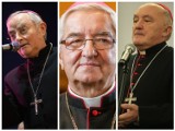Lista polskich biskupów, którzy mieli ukrywać lub przenosić księży pedofilów. Raport trafił do papieża Franciszka [zdjęcia]
