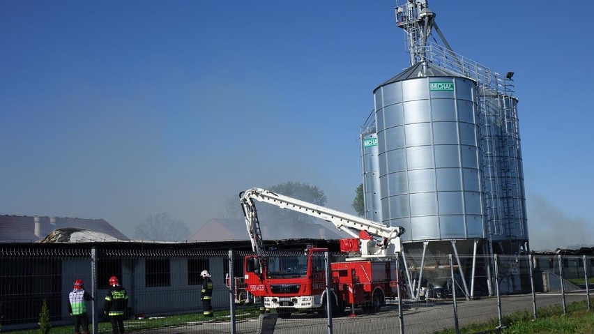 Zdjęcia z akcji gaśniczej pożaru świniarni w Wychowańcu [ZDJĘCIA / VIDEO] 