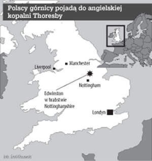 Polacy będą fedrować u Brytyjczyków