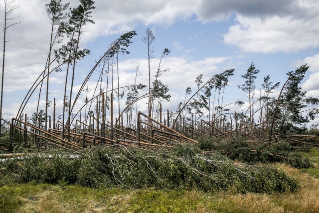 W regionie trwa usuwanie skutków nawałnic z 11/12 sierpnia a tymczasem synoptycy znów ostrzegają mieszkańców kujawsko-pomorskiego przed porywistym wiatrem.