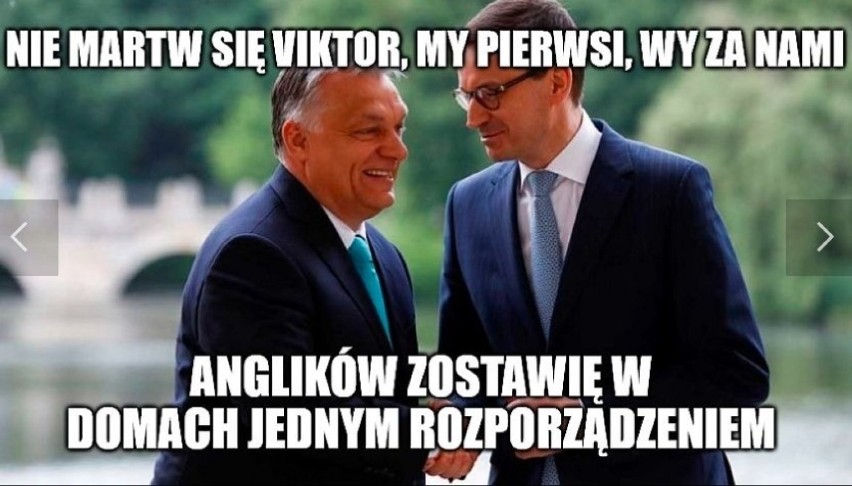 Polska gra dzisiaj z Anglią, a internauci już wiedzą, jak to się skończy. Bez Lewego i Hajty nie mamy szans?  MEMY 31.03.2021