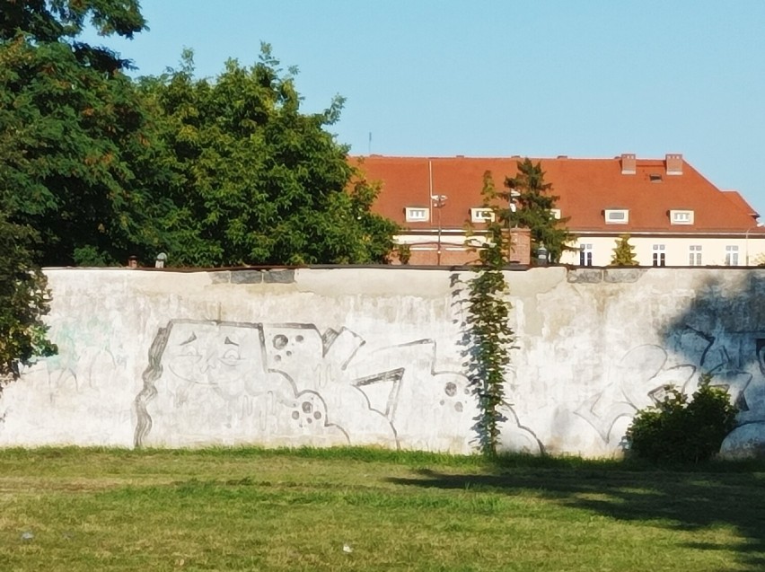 Pomazane miasto. Szpecące graffiti na murach i budynkach w Oleśnicy. Jest ich pełno!