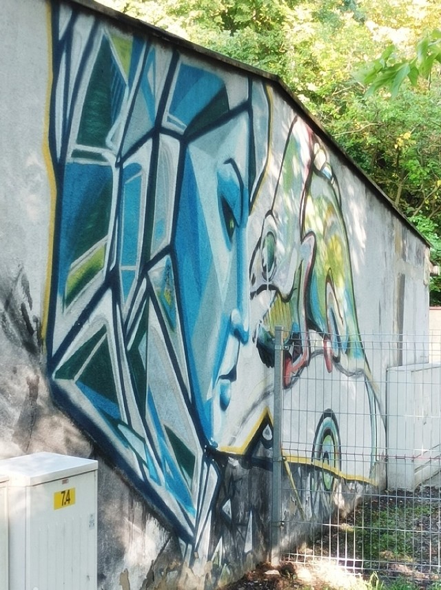 W Oleśnicy nie brakuje graffiti, które są wszechobecne na murach i budynkach. Niektóre z nich to prawdziwe dzieła sztuki, inne to bohomazy. Nie trzeba być znawcą sztuki, aby je rozróżnić
