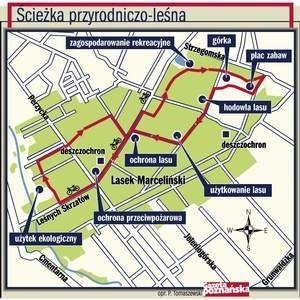 Poznaniacy odwiedzający Lasek Marceliński  dopiero na miejscu dowiadują się o istnieniu ścieżki przyrodniczo - leśnej.  Fot. P. Jasiczek