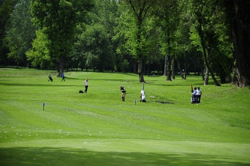 W niedzielę Ogólnopolski Dzień Golfa - w całym kraju bezpłatne lekcje gry