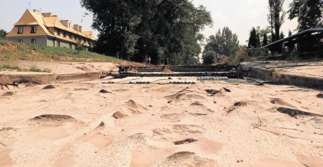 Całkowicie wyschła rzeka Wieprzówka płynąca przez Andrychów,  ale, jak zapewniają władze miasta - wody dla mieszkańców nie braknie