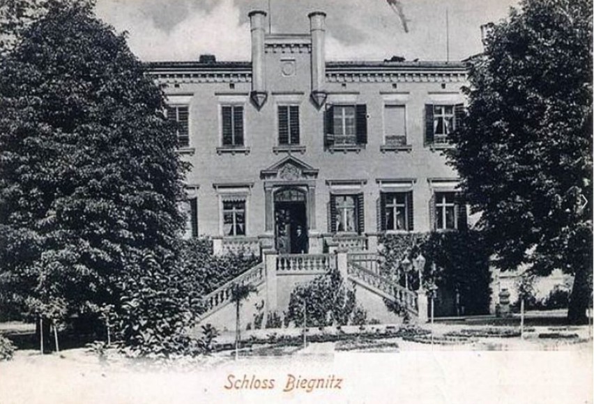 Lata 1900-1925 , Bogomice – pałac