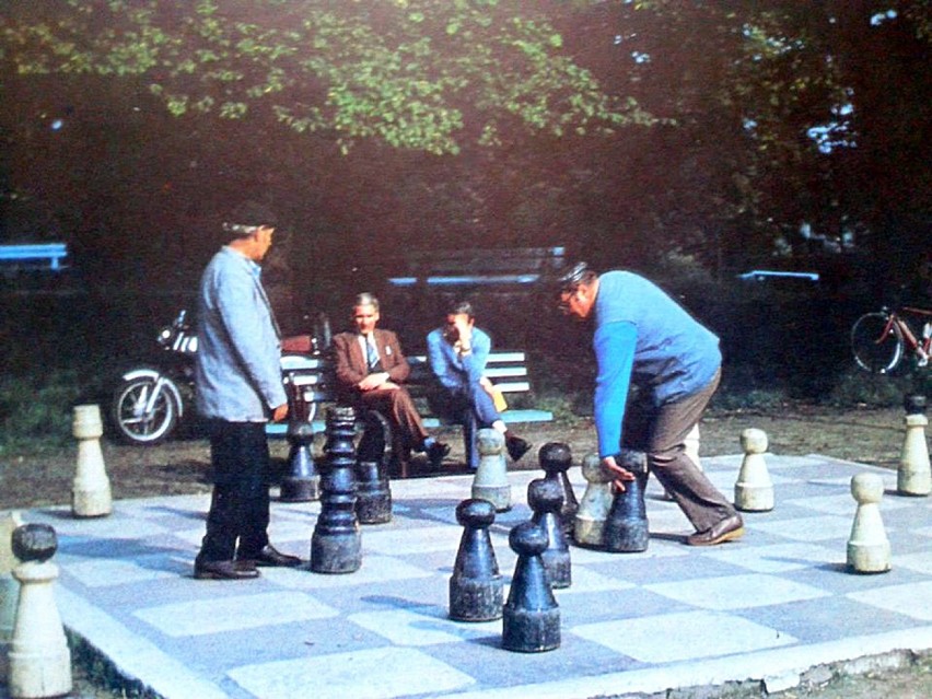 Partyjka szachów w parku miejskim