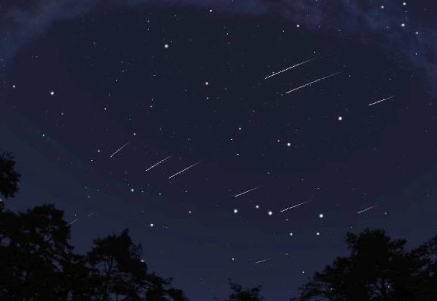 Czas na Perseidy 2022. Kiedy spadające gwiazdy na nocnym niebie w Zduńskiej Woli?