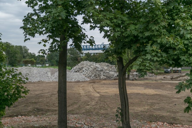 Tereny opodal stadionu Wisły są bardzo atrakcyjnymi terenami inwestycyjnymi. Są jednak porośnięte przez dużą liczbę drzew