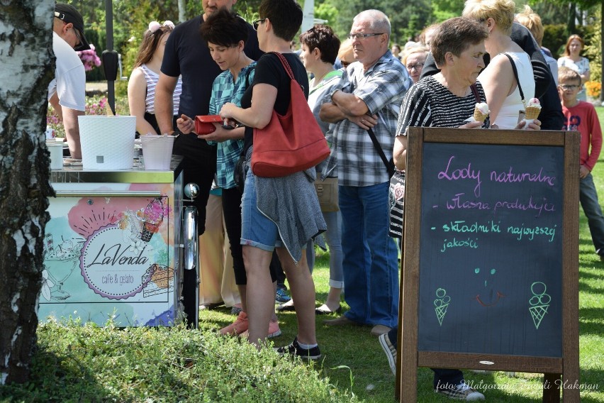 Majówka u Pudełka w Iłowej