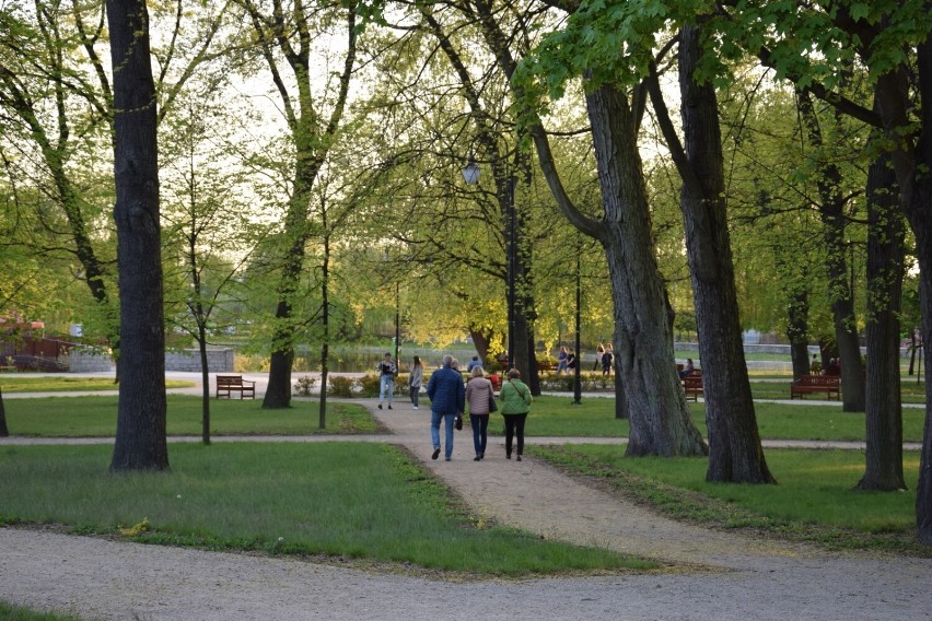 Budżet Obywatelski Zduńskiej Woli. Trwa głosowanie